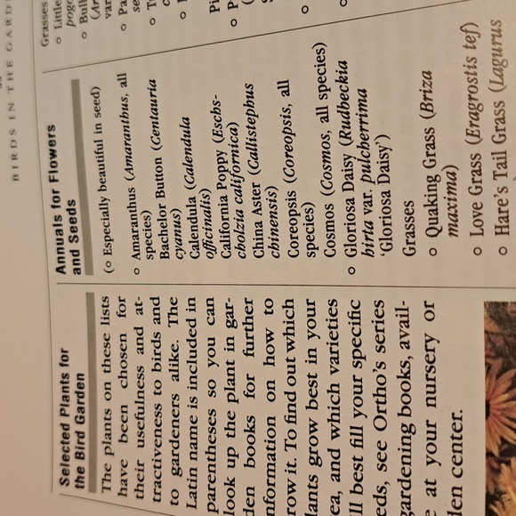 How to attract Birds/ BUNDLE ONLY 2or more items - Picture 9 of 16